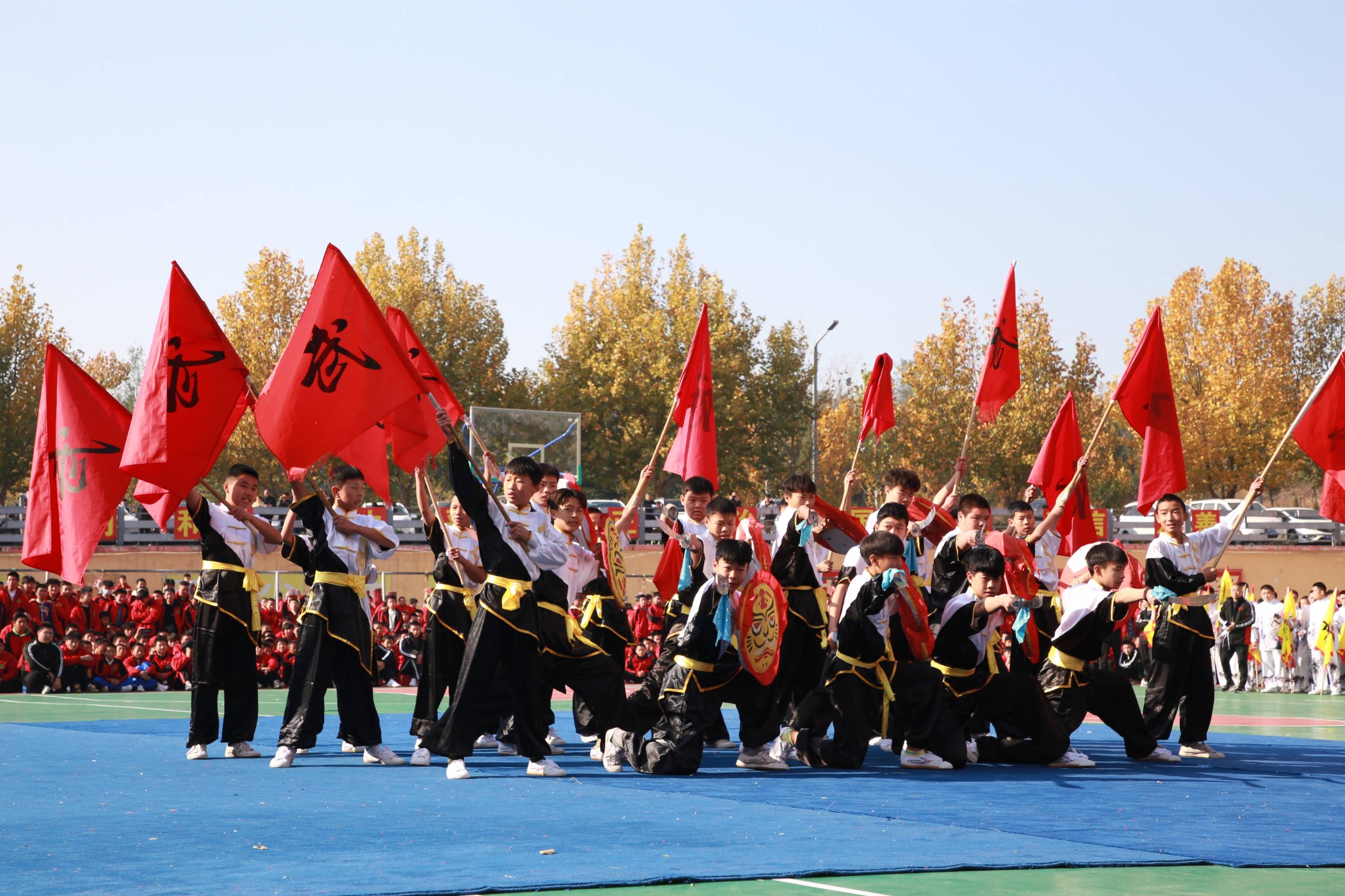 关于全国青少年武术比赛，传承文化彰显力量的信息