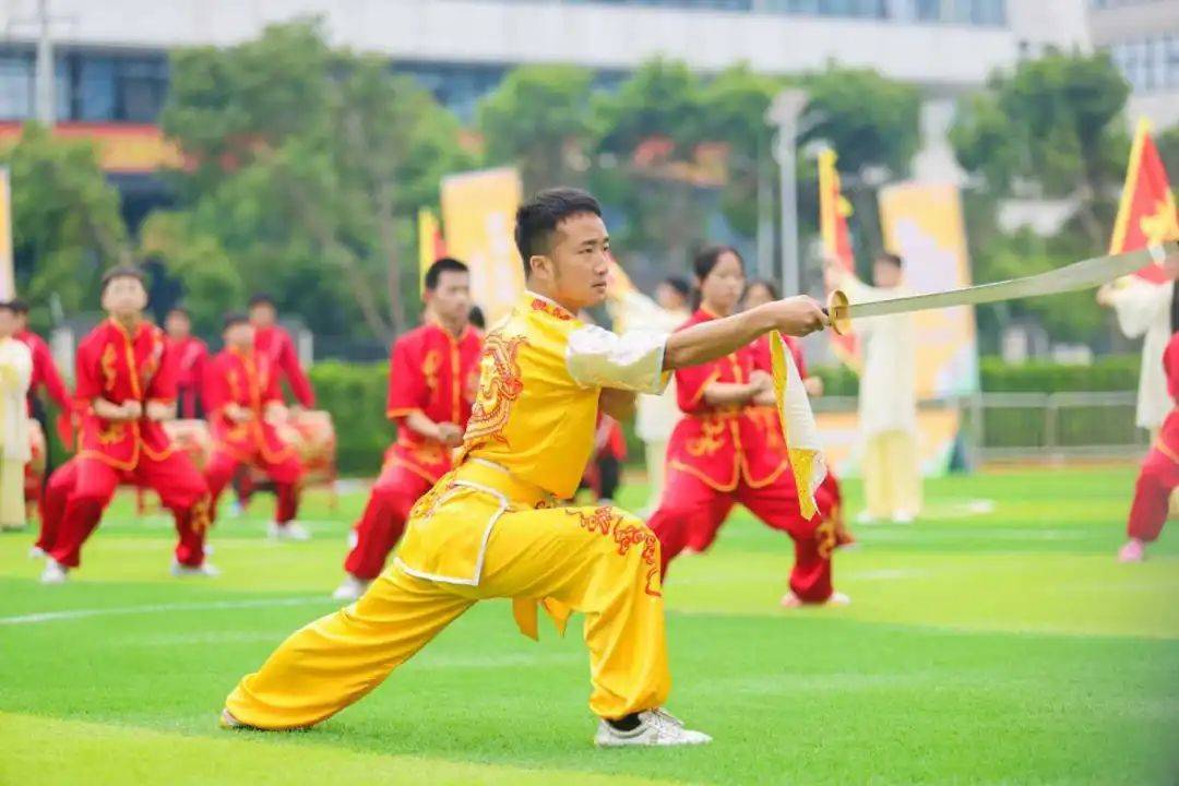 关于全国青少年武术比赛，传承文化彰显力量的信息