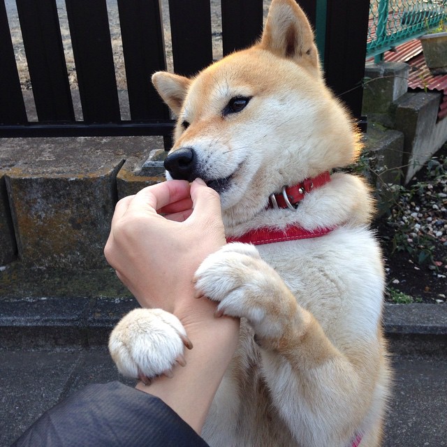 _快船迎战强敌，团队合作彰显实力_，快船队官方