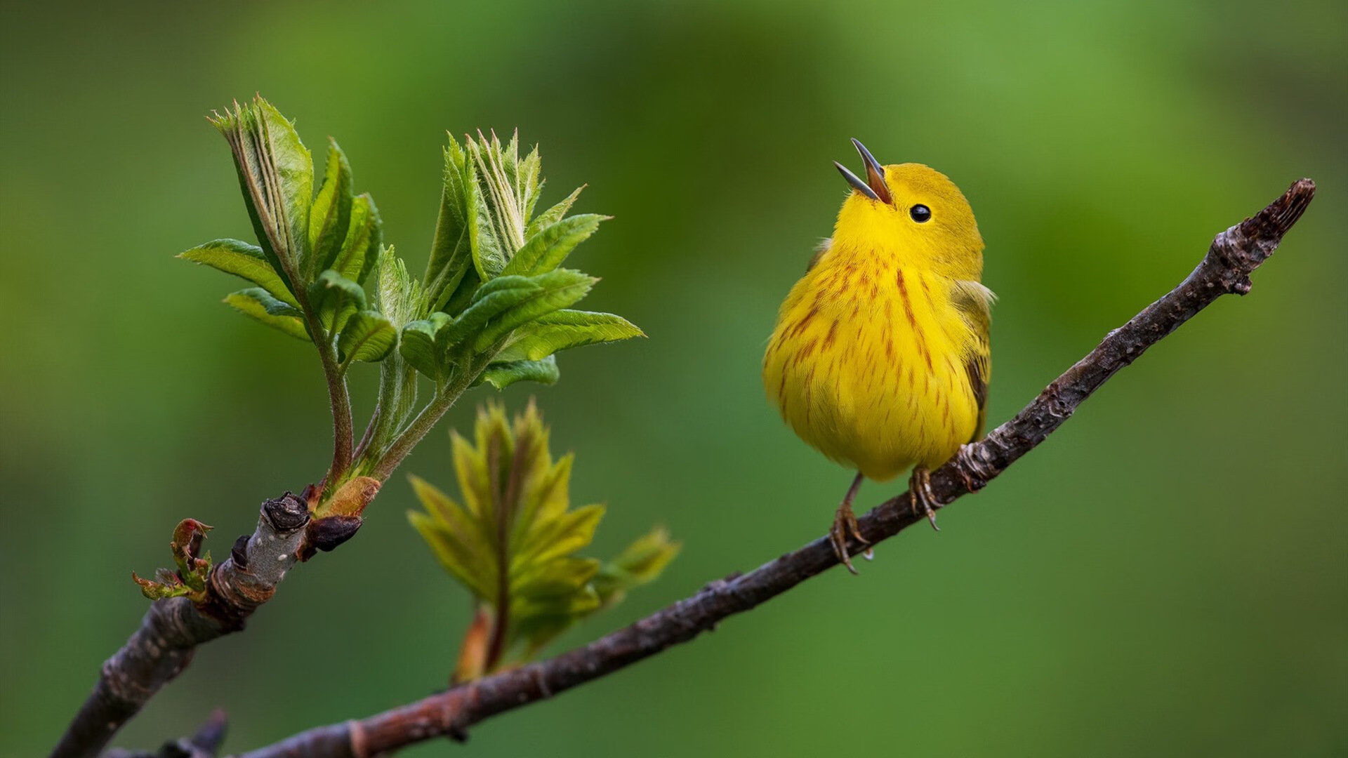 【创新规则引领潮流】未来更多高科技战术会出现吗？，高科技对未来战争的影响