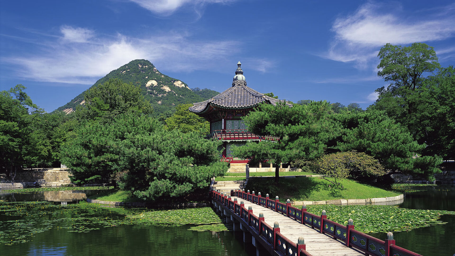 墨西哥传统马术赛事“Charreada”在2024年成功举办，吸引众多观众参与。