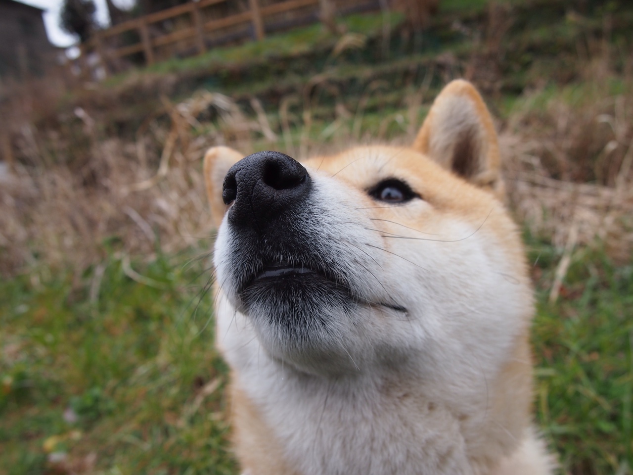 未来:全球化、数字化引领篮球新未来,未来数字化是什么意思