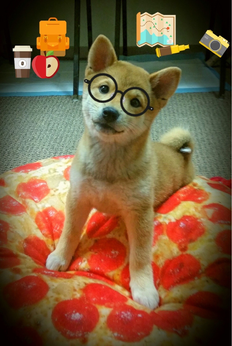 激烈争夺欧冠门票,西甲每场都精彩纷呈,西甲球队欧冠