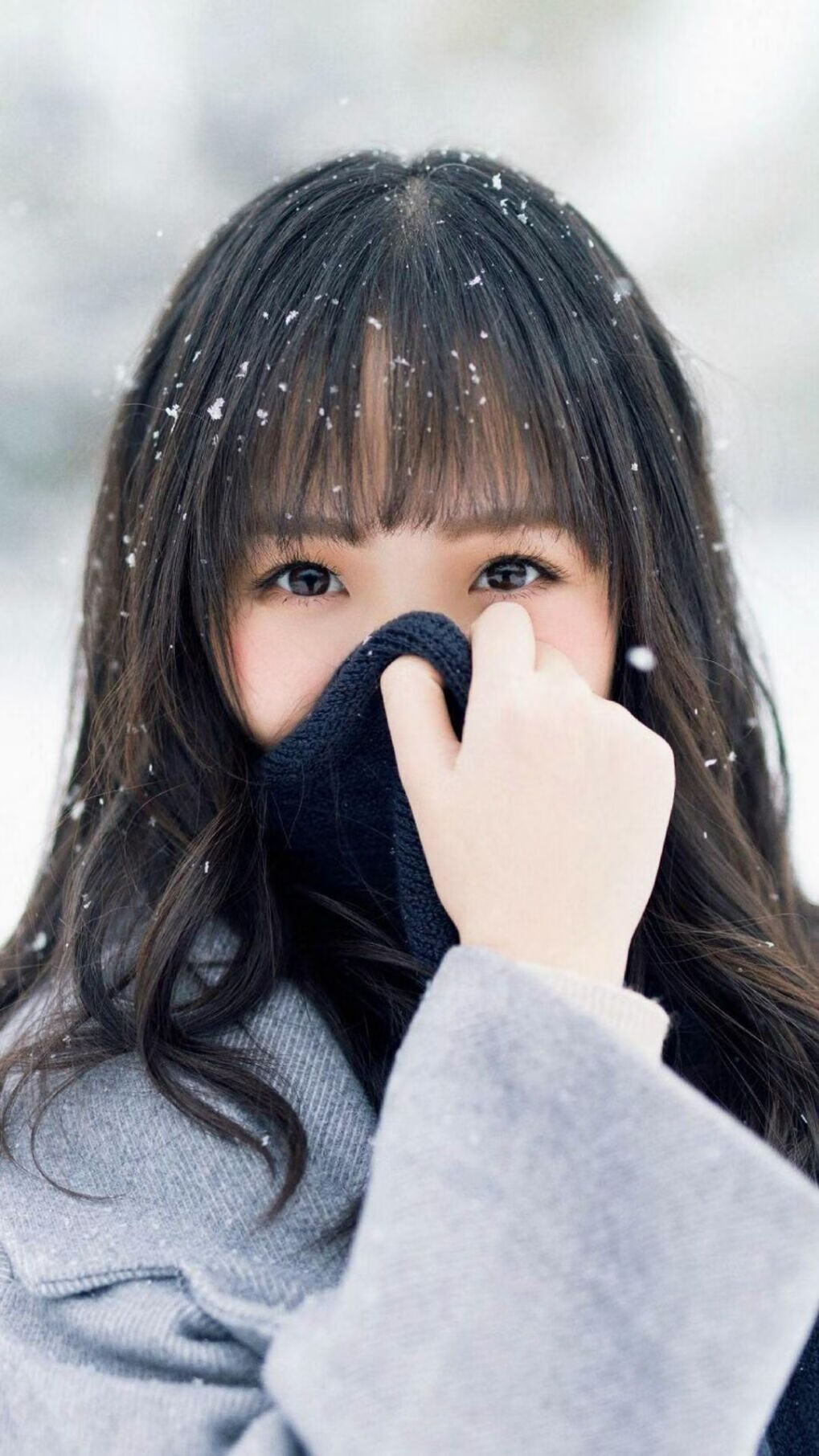 荷兰马术协会与美洲马术协会合作，举办国际马术培训班。，荷兰马种