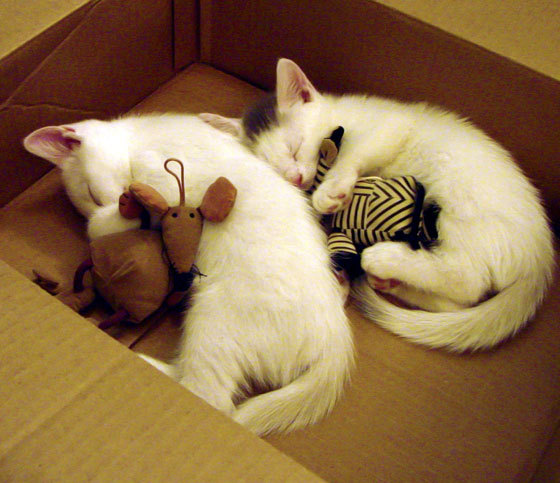 逆风翻盘:最惊心动魄的比赛逆转,逆风翻盘的前一句