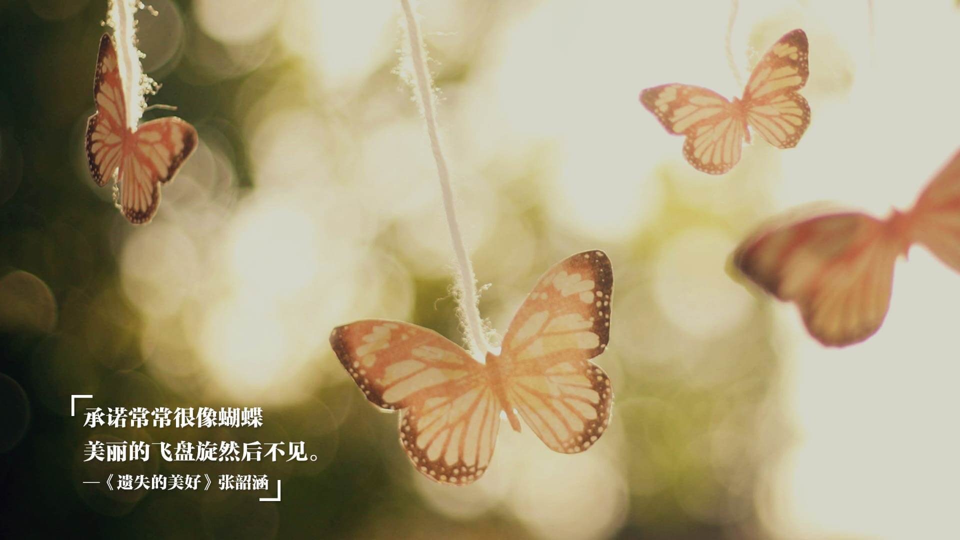 中超“京津德比”落幕，北京国安力克天津津门虎