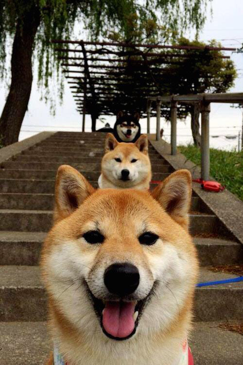 女足比赛掀起狂潮,观众热情高涨,女足比赛2021