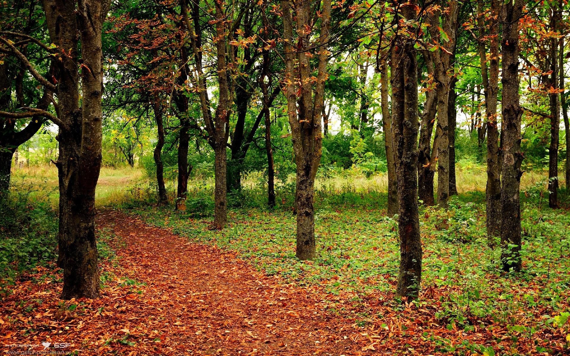火爆对决:欧洲国家队让球迷热血沸腾