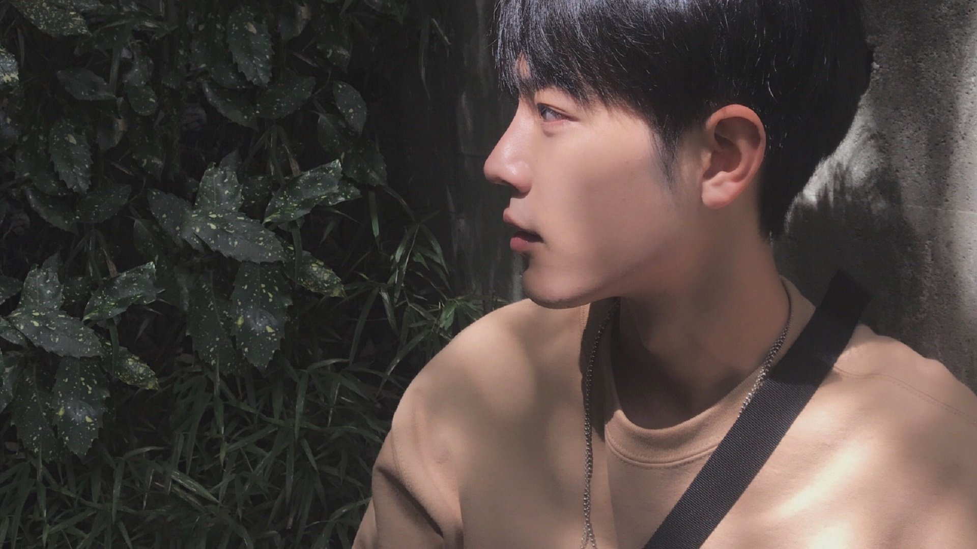 看点:湖北战队精彩逆袭打败对手,看点_湖北战队精彩逆袭打败对手的小说