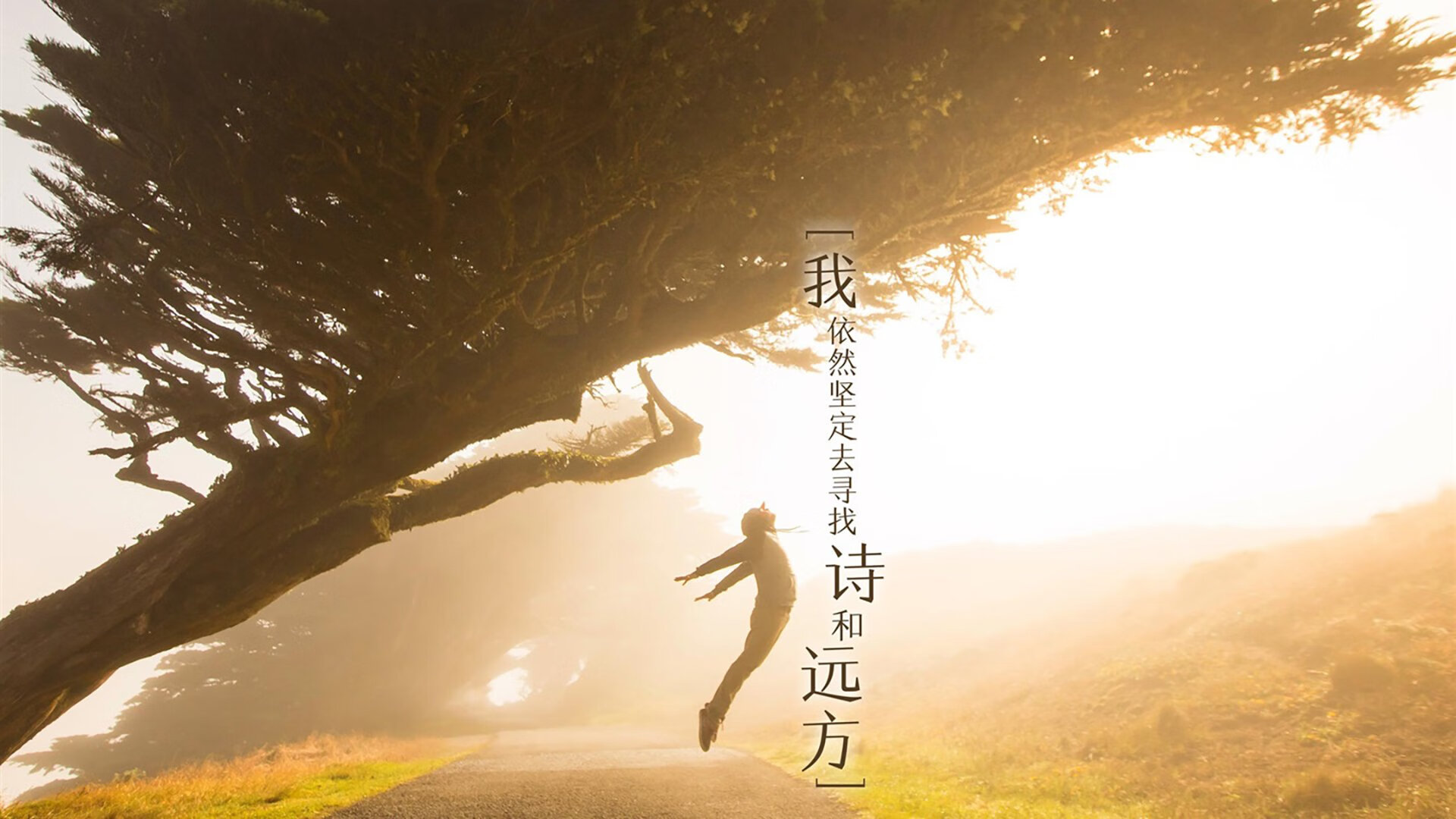 迈阿密国际计划举办国内足球训练营，促进交流，国际迈阿密主教练