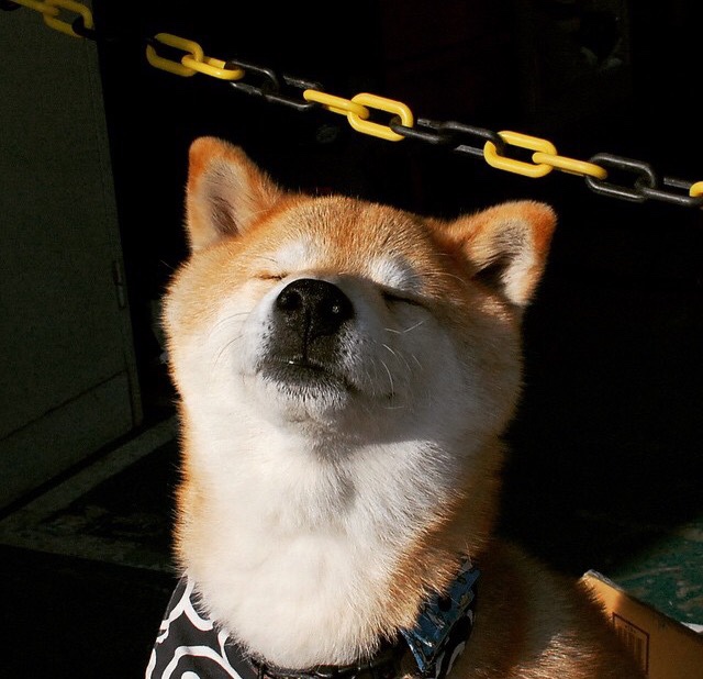 世界赛场:非洲代表的“黑马”奇迹