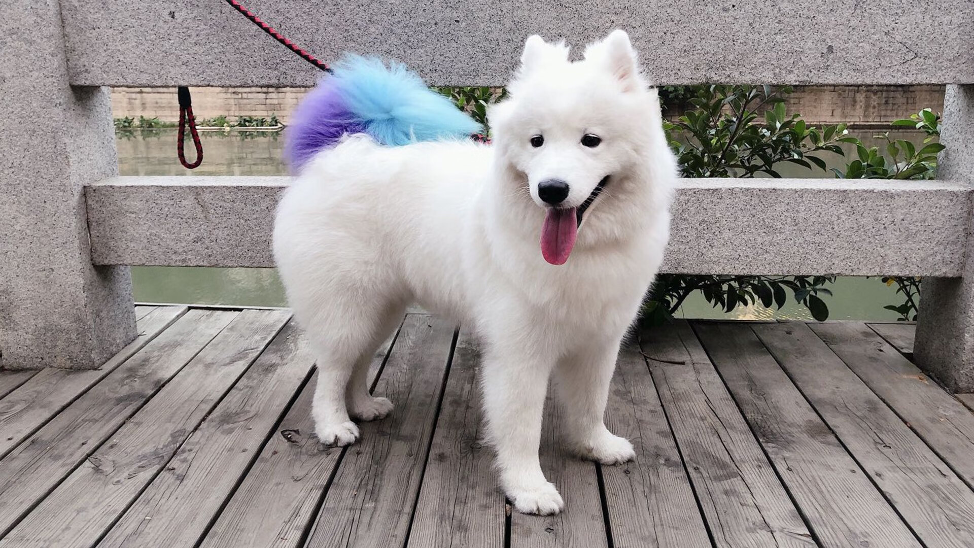 体育教学资源数字化转型路径及整合策略研究,体育数字教育资源获取与评价