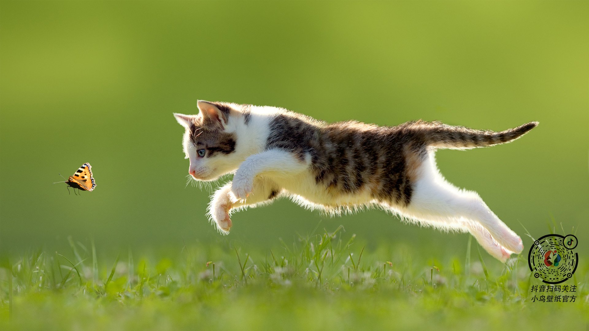 奥运村建设项目进展顺利如期完成,奥运村现状