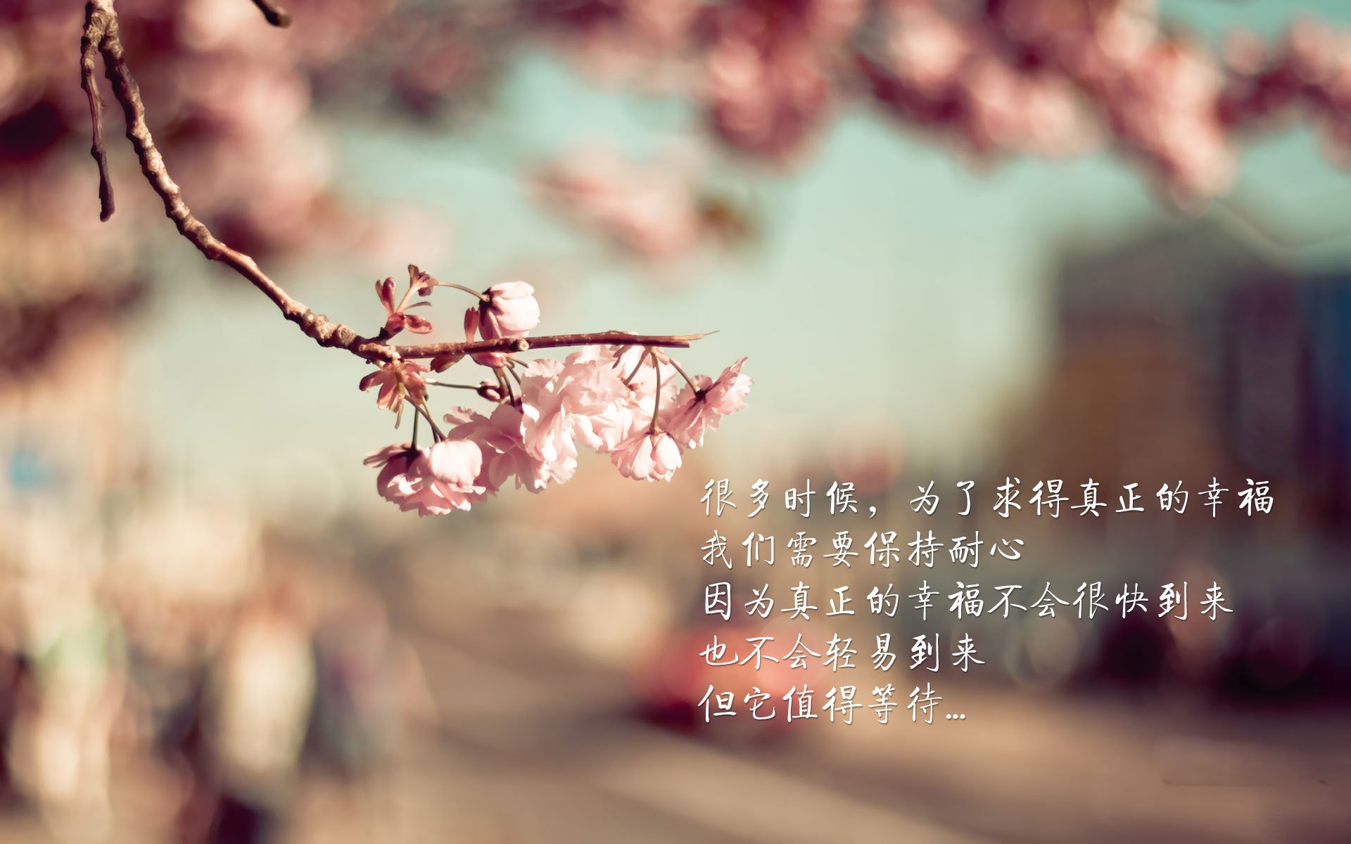 库里晒家庭训练日常强调陪伴重要,库里训练视频基础动作