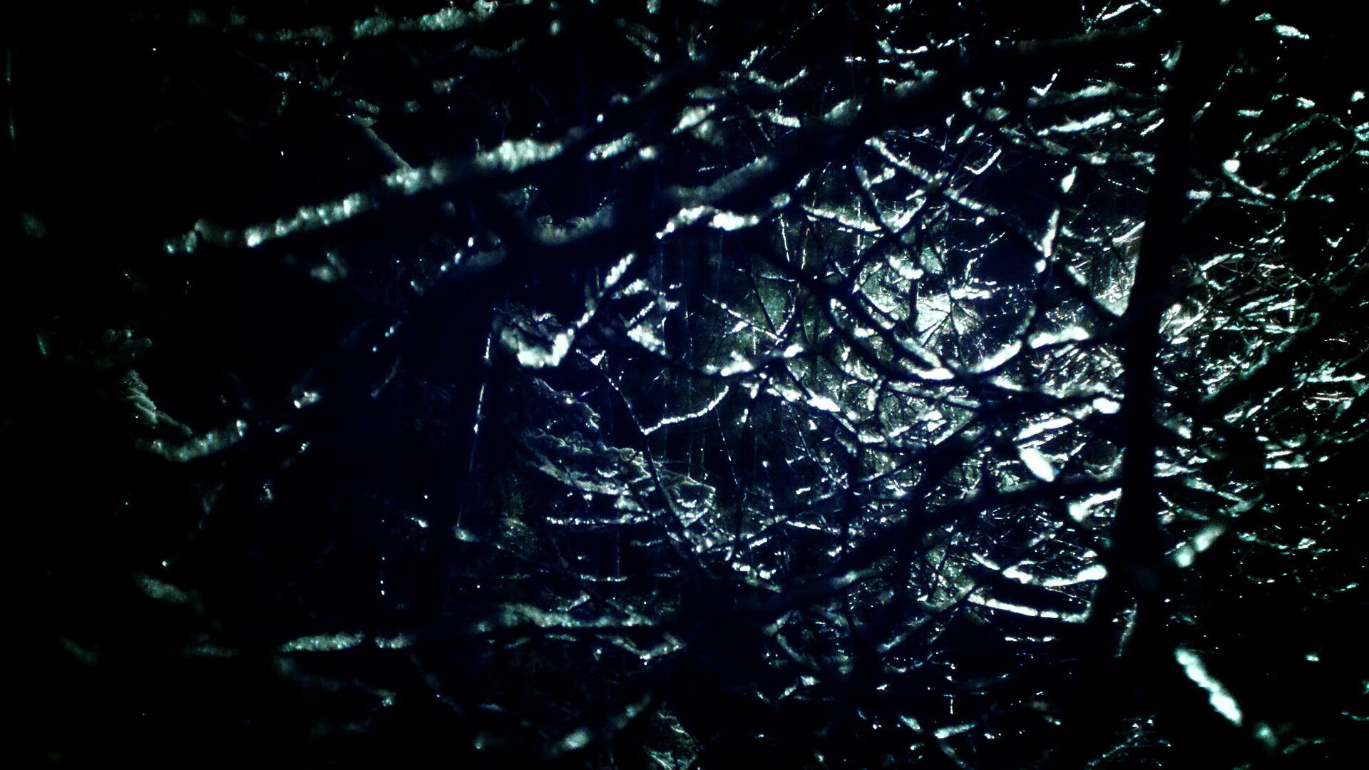 火箭训练营设立内部评分系统鼓励自我挑战,火箭队训练营新面孔