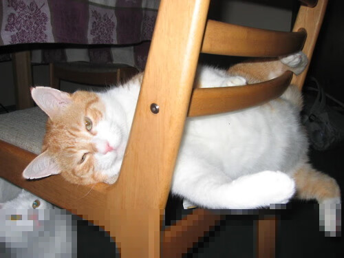 电竞选手体能训练引入传统体育方法,电竞选手锻炼身体