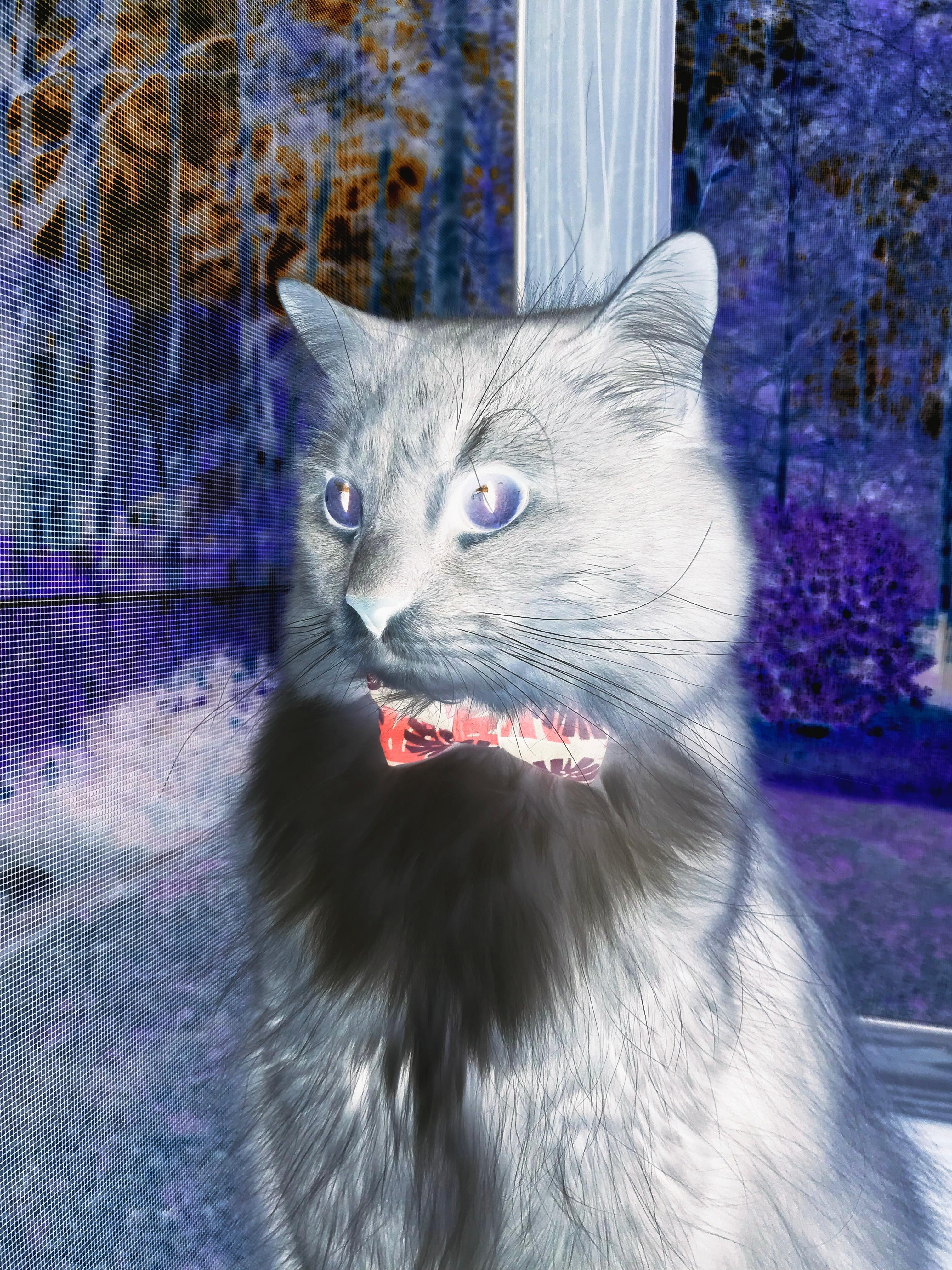 篮球俱乐部社会责任感增强积极参与公益和社区活动,篮球俱乐部活动方案