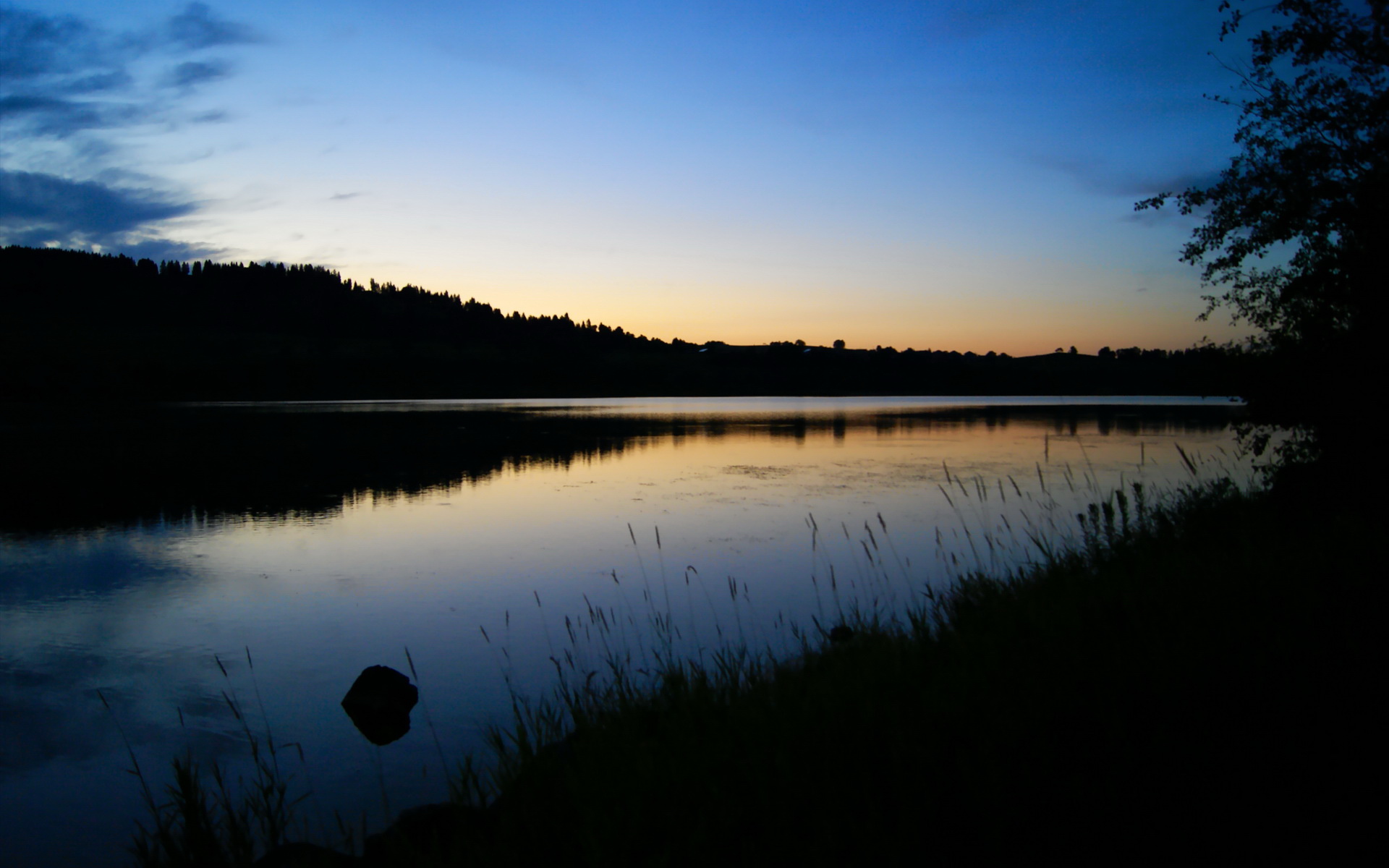 苏炳添将担任高校客座田径讲师,苏炳添田径运动员