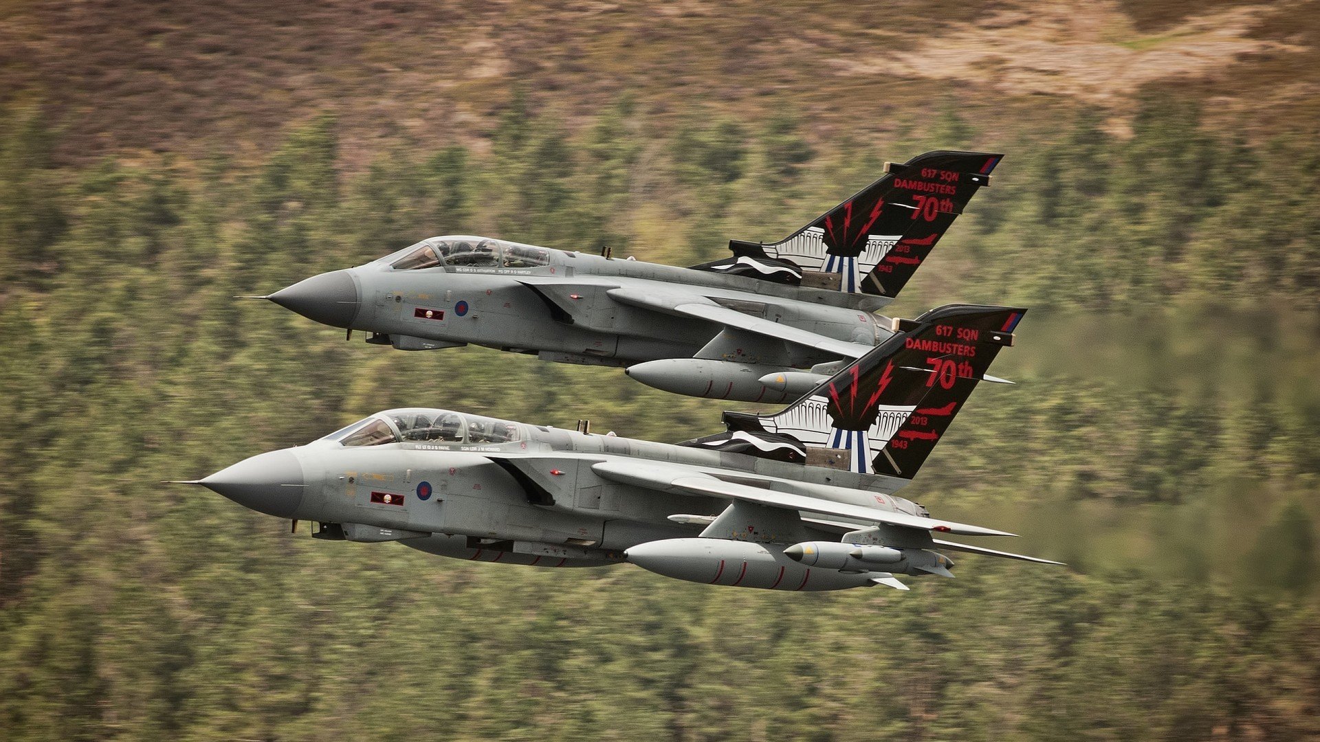 阿莱克西晋级决赛引全美热议，阿莱克西·莱霍